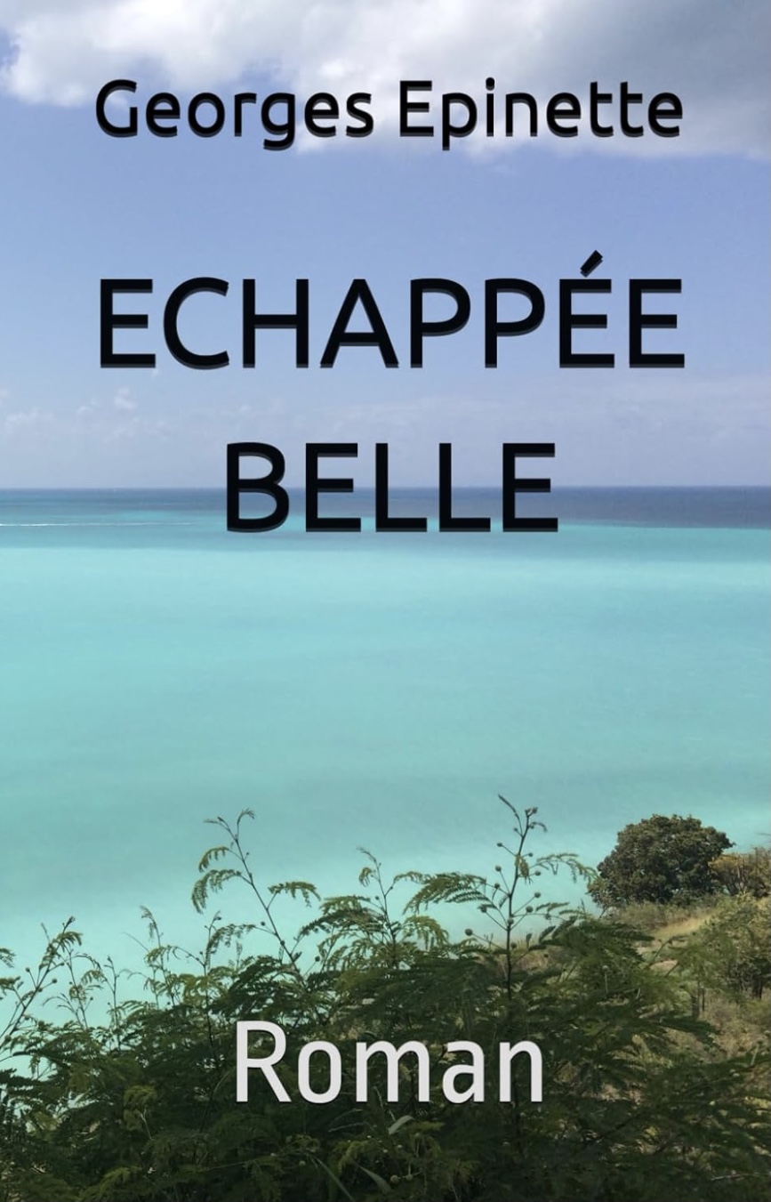 13€ - 170 pages - taper sur l’image pour commander